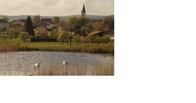 L'Etang de la Gravelle